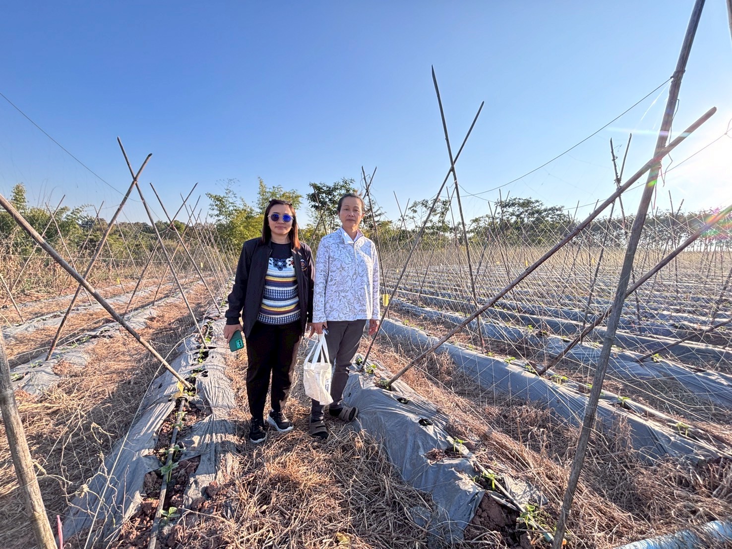 พช.อำเภอน้ำหนาว "ติดตามตรวจสอบการดำเนินงานกลุ่มอาชีพกองทุนพัฒนาบทบาทสตรี"