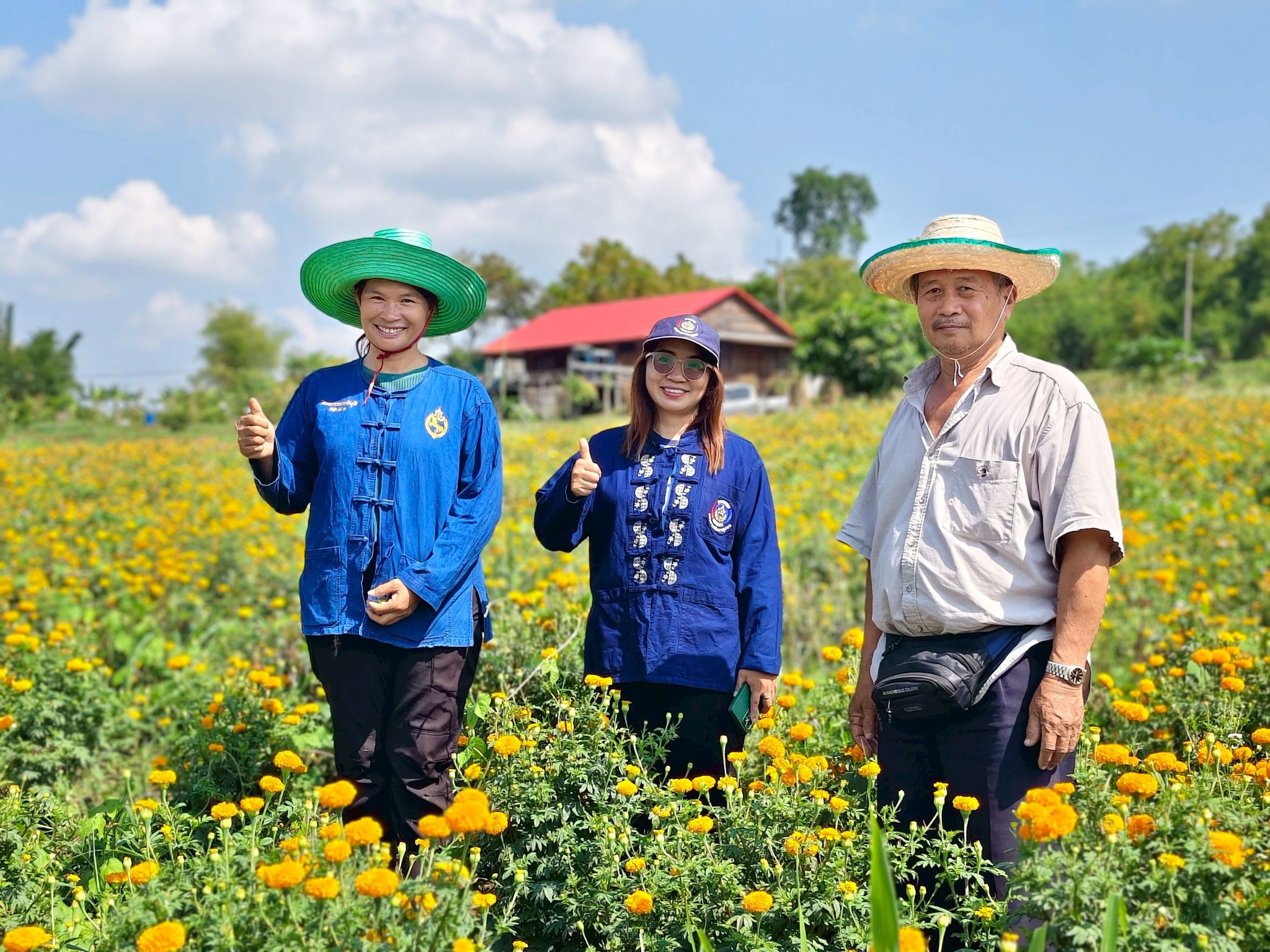 พช.น้ำหนาว ลงพื้นที่เยี่ยมติดตามแปลงเครือข่าย"โคก หนอง นา" อำเภอน้ำหนาว 
